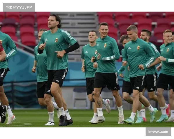 匈牙利1-0小胜亚美尼亚 保持小组出线希望